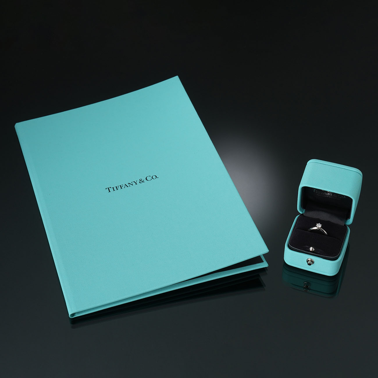 TIFFANY & CO.(USED)티파니앤코 0.23ct 플래티늄 웨딩 링 #45