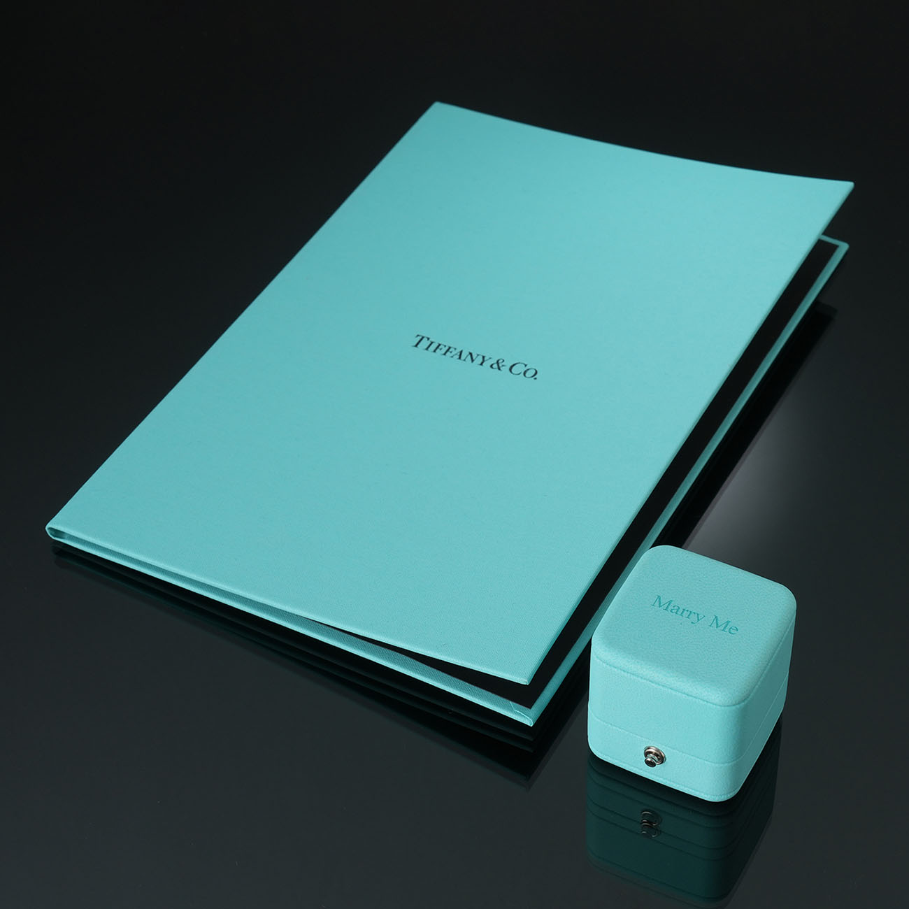 TIFFANY & CO.(USED)티파니앤코 0.23ct 플래티늄 웨딩 링 #45