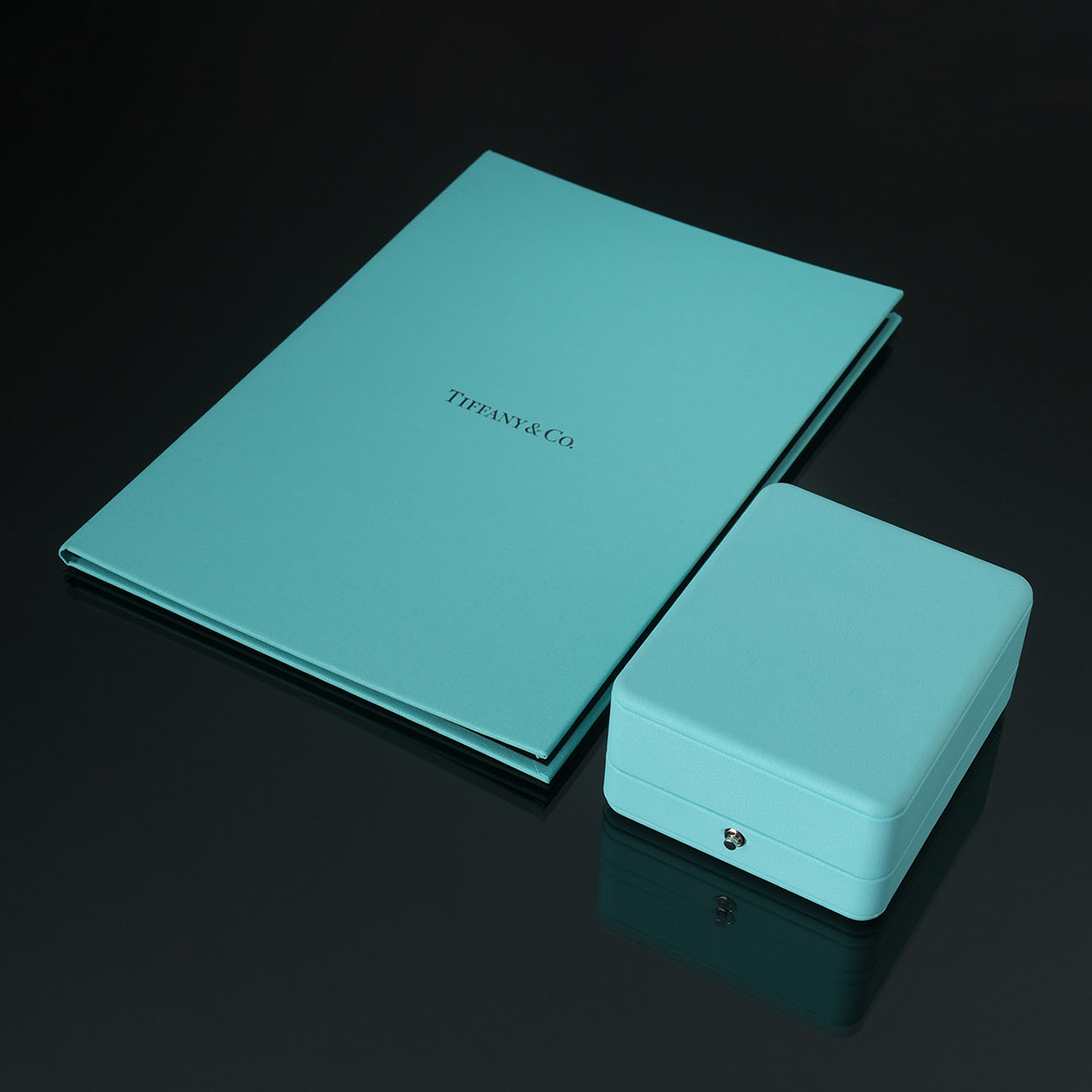 TIFFANY & CO.(USED)티파니 1.53ct 다이아 네크리스