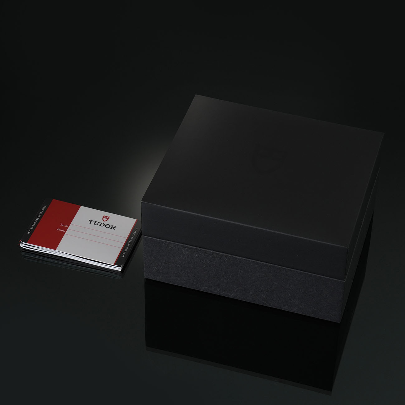TUDOR(USED)튜더 블랙베이 79230R